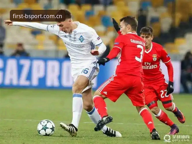 bsport体育入口体验全解：从积分榜到赛程订阅的避坑指南，bet365中国官方主站数据APP深度分析